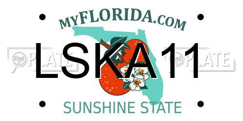 LSKA11 Florida License Plate