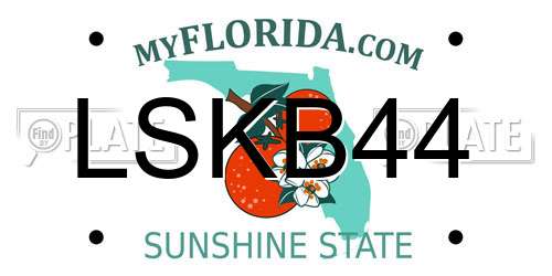 LSKB44 Florida License Plate