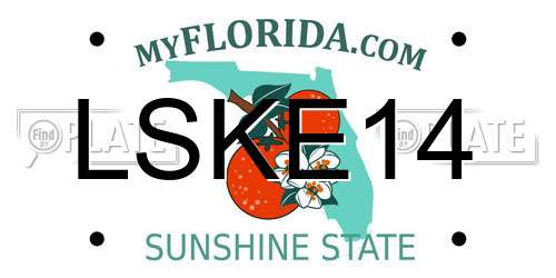 LSKE14 Florida License Plate