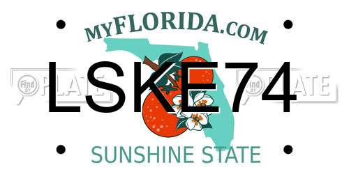LSKE74 Florida License Plate