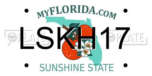 LSKH17 Florida License Plate