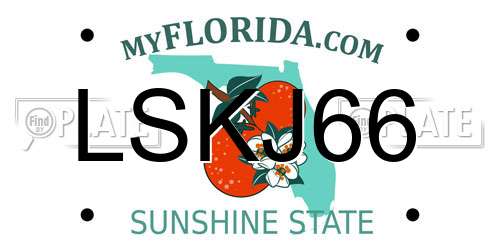LSKJ66 Florida License Plate