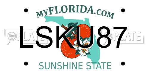LSKU87 Florida License Plate