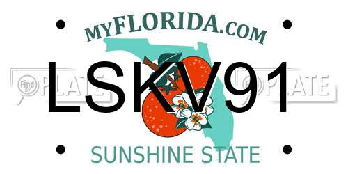 LSKV91 Florida License Plate
