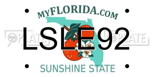LSLE92 Florida License Plate