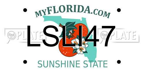 LSLI47 Florida License Plate