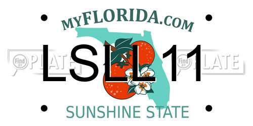 LSLL11 Florida License Plate