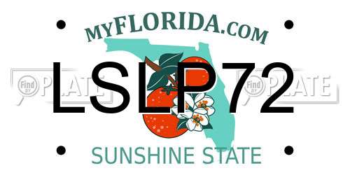 LSLP72 Florida License Plate