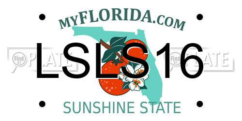 LSLS16 Florida License Plate