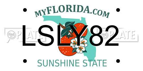 LSLY82 Florida License Plate