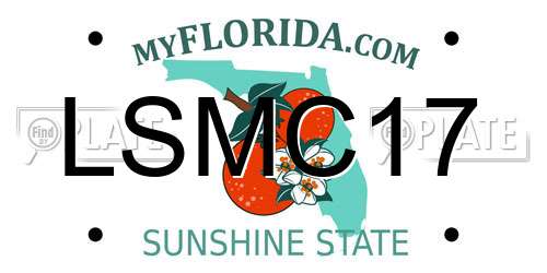 LSMC17 Florida License Plate