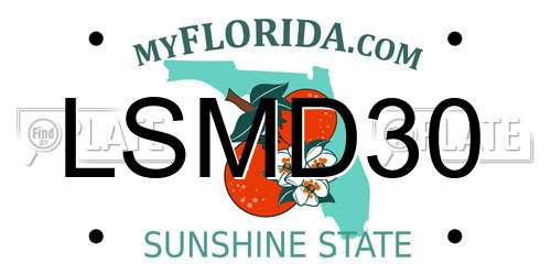 LSMD30 Florida License Plate