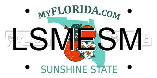 LSMESM Florida License Plate