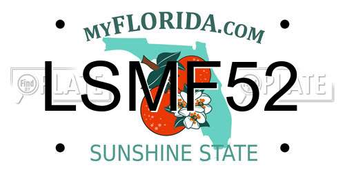 LSMF52 Florida License Plate