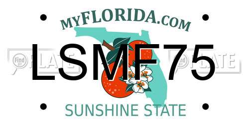 LSMF75 Florida License Plate