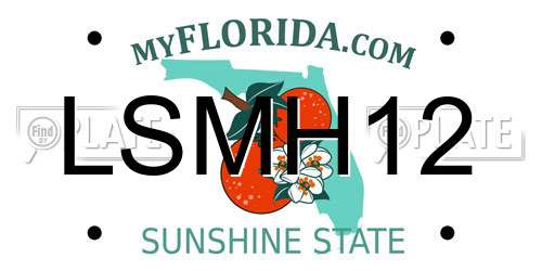 LSMH12 Florida License Plate