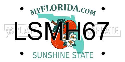 LSMH67 Florida License Plate