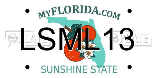 LSML13 Florida License Plate