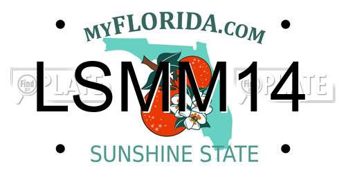 LSMM14 Florida License Plate
