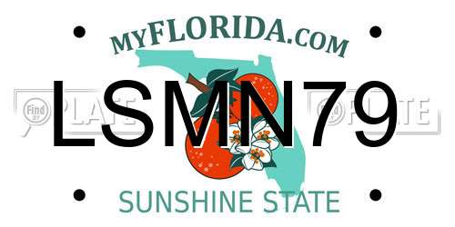 LSMN79 Florida License Plate