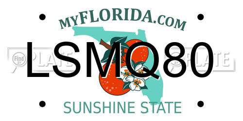 LSMQ80 Florida License Plate