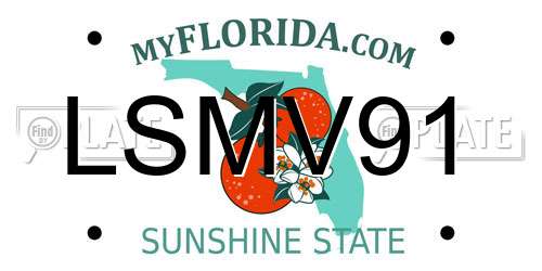 LSMV91 Florida License Plate