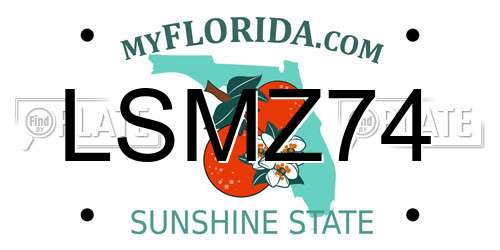 LSMZ74 Florida License Plate