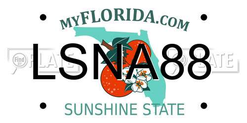 LSNA88 Florida License Plate