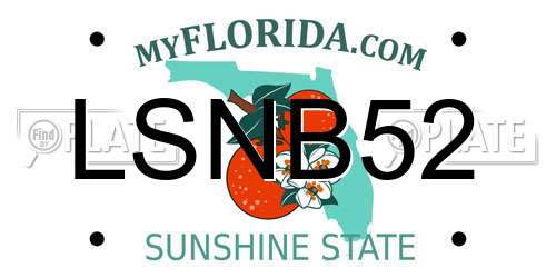 LSNB52 Florida License Plate