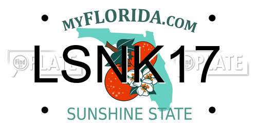 LSNK17 Florida License Plate