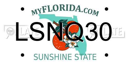 LSNQ30 Florida License Plate