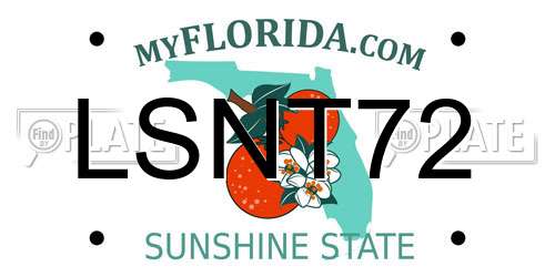 LSNT72 Florida License Plate