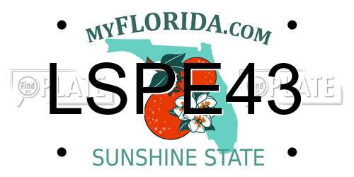 LSPE43 Florida License Plate