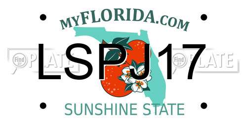 LSPJ17 Florida License Plate