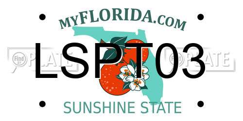LSPT03 Florida License Plate