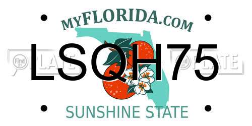 LSQH75 Florida License Plate