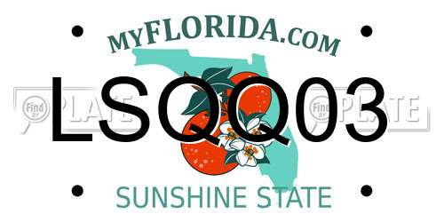 LSQQ03 Florida License Plate