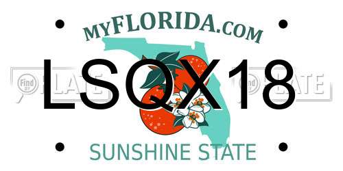 LSQX18 Florida License Plate
