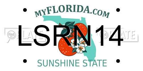 LSRN14 Florida License Plate
