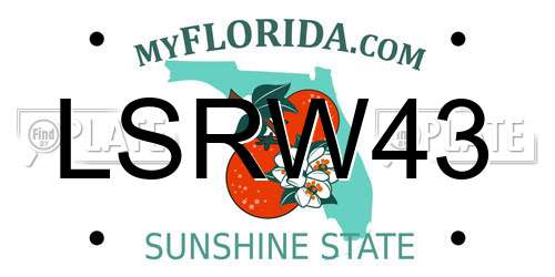 LSRW43 Florida License Plate