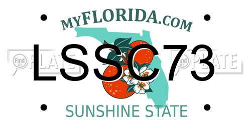 LSSC73 Florida License Plate