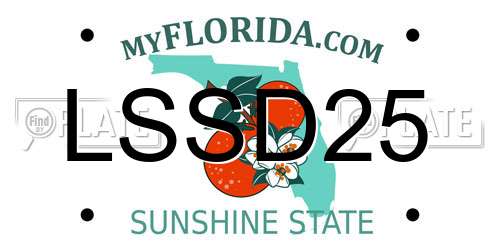 LSSD25 Florida License Plate
