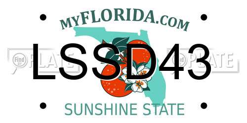 LSSD43 Florida License Plate