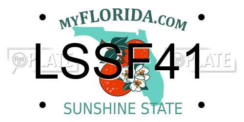 LSSF41 Florida License Plate
