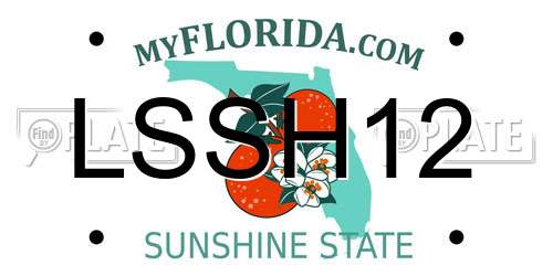 LSSH12 Florida License Plate