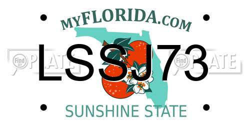 LSSJ73 Florida License Plate
