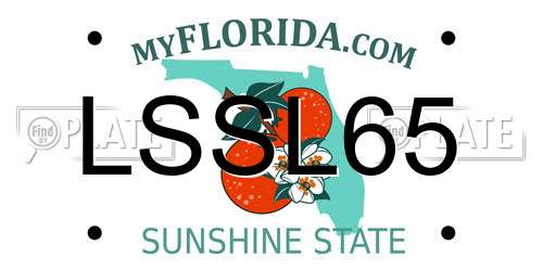 LSSL65 Florida License Plate