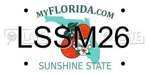 LSSM26 Florida License Plate