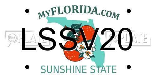 LSSV20 Florida License Plate