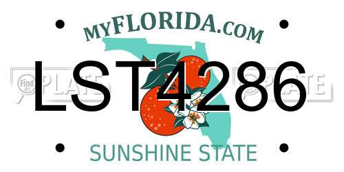 LST4286 Florida License Plate